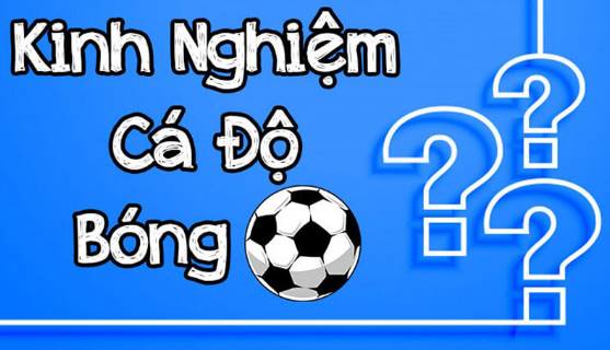 Tăng Tỷ Lệ Cược Trong Cá Cược Thể Thao là như thế nào?